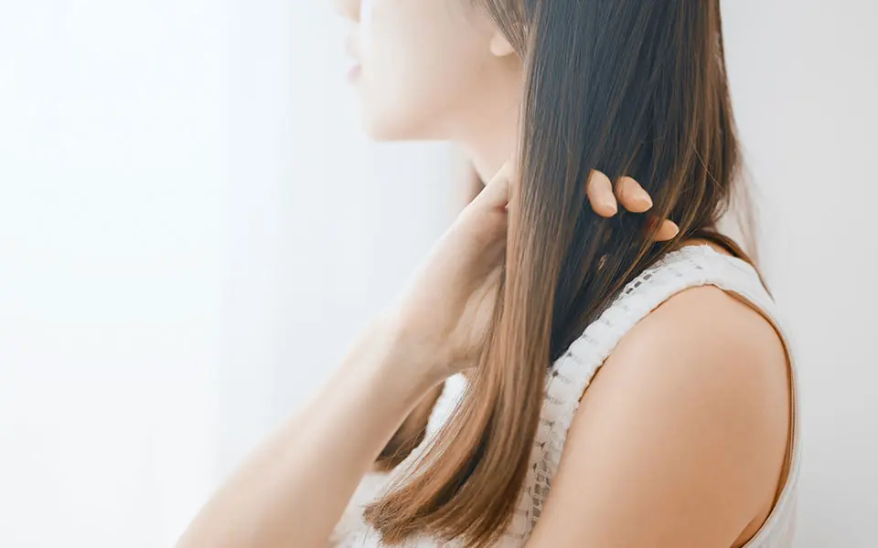 大人ハイライトメージ