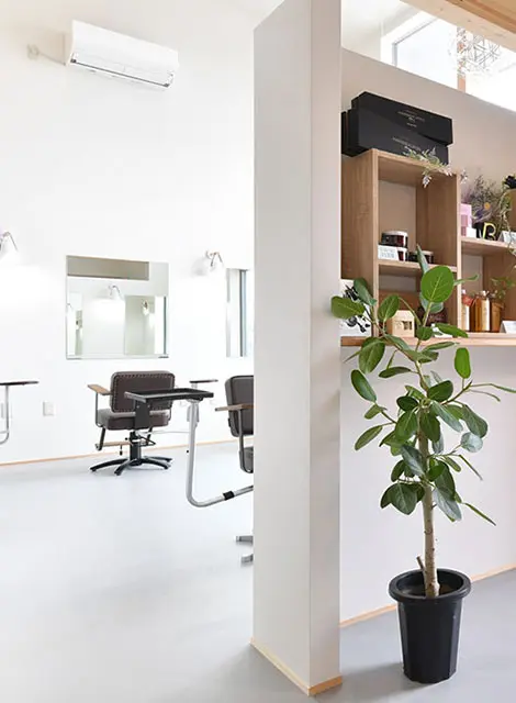 エルパライソリフォ店内観