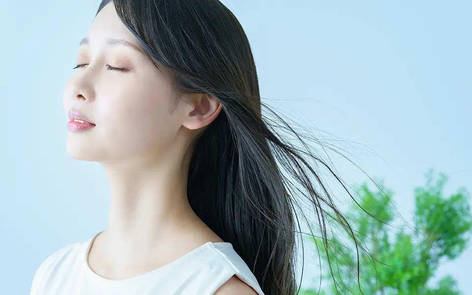 イメージモデル